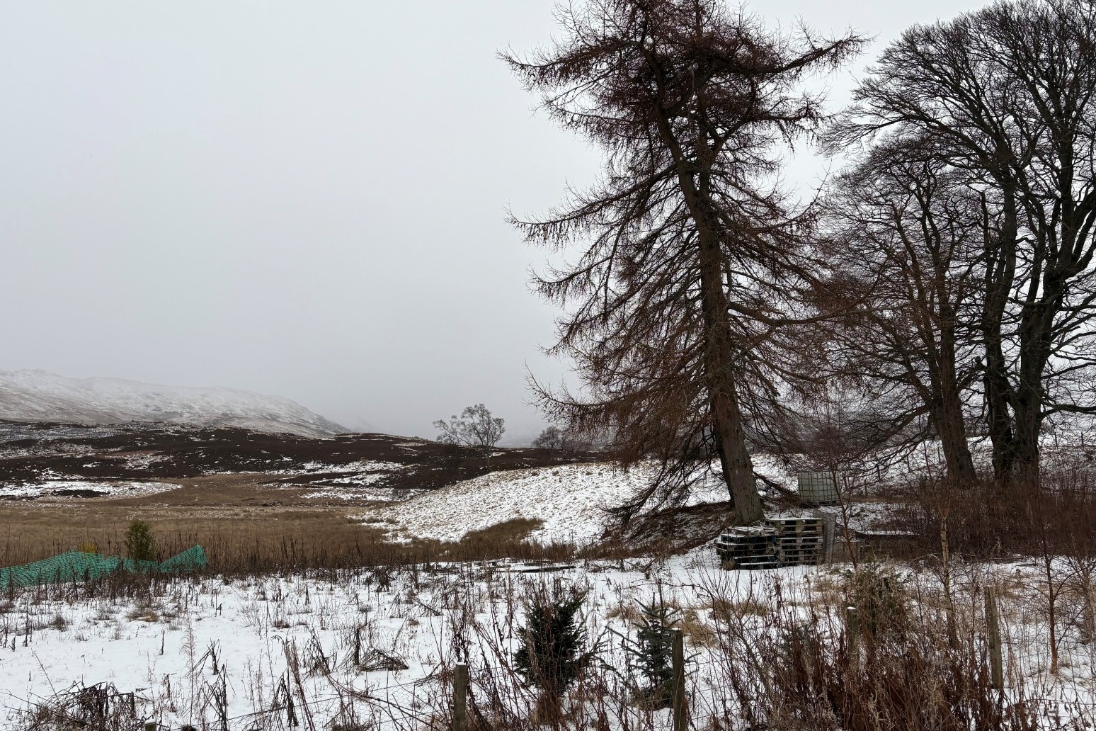 Council declares major incident as heavy snow continues 